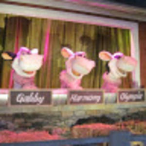 Meet your Posher, Alice